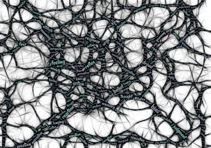 neurosciencees