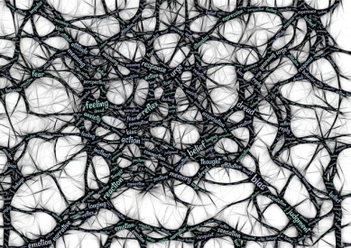 neurosciencees